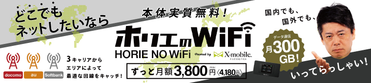 Wi-fi代理店事業 ホリエのwifi