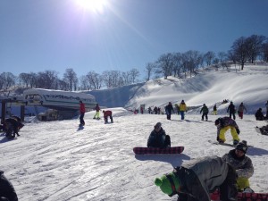 今年もよろしくお願い致します。