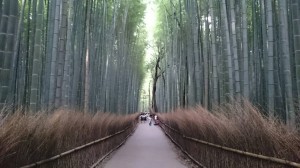 京都嵐山