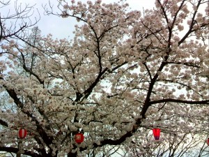 建築バカな私は・・・