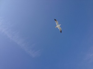 海沿いを歩くトレッキング