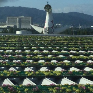 太陽の塔と緑